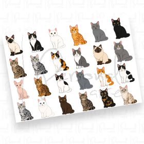 Adesivos Pets - Cats (DTF UV) - A5